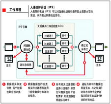 共同护盾 IDS检测与防护在网络系统集成中的协同作用
