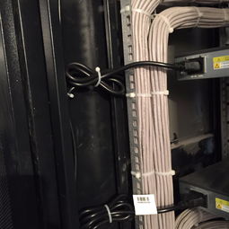 大兴弱电布线工程公司的电子商务信息咨询服务